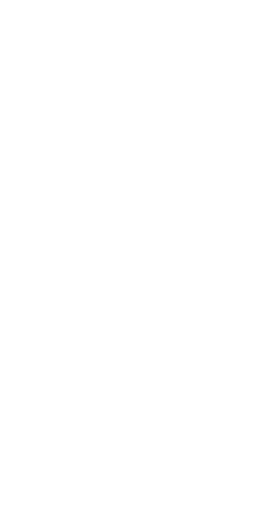 Patricio Solutions Logo